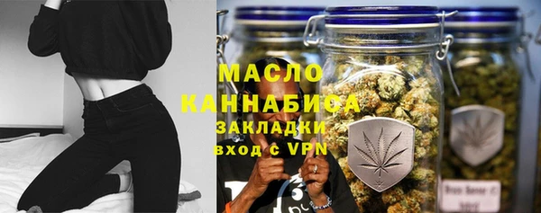 хмурый Новозыбков