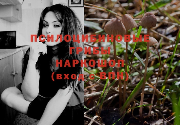 хмурый Новозыбков