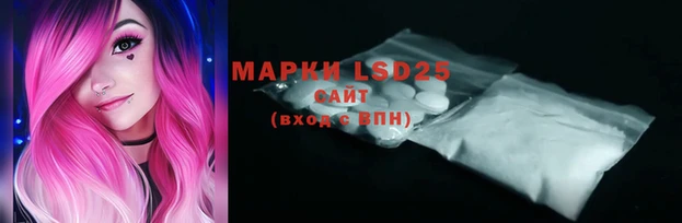 хмурый Новозыбков