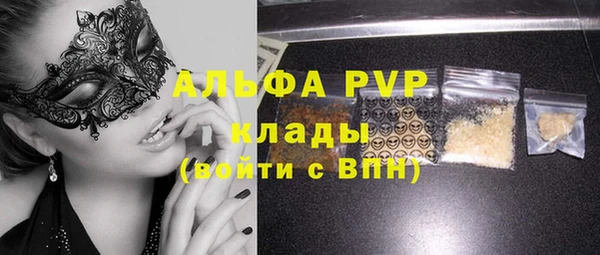 хмурый Новозыбков