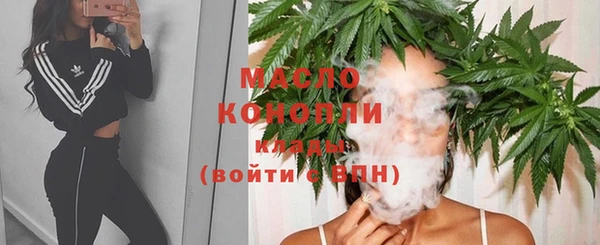 хмурый Новозыбков