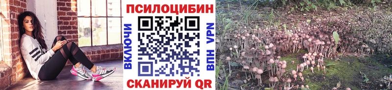 магазин    Полевской  Псилоцибиновые грибы GOLDEN TEACHER 