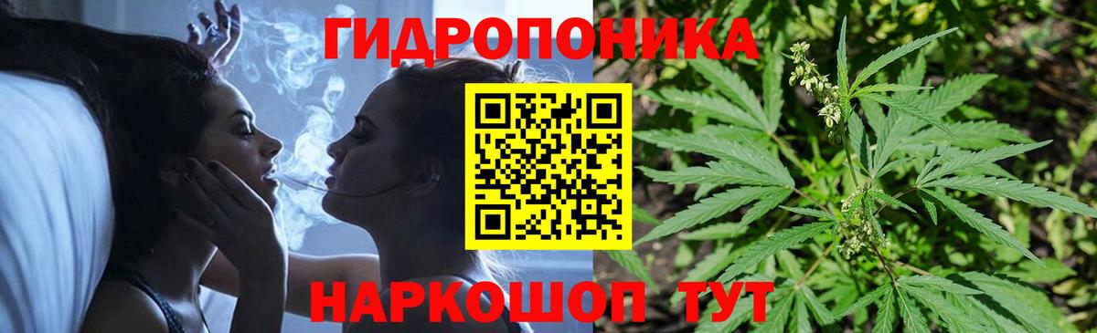 Полевской  Бошки Шишки семена  Вход с VPN  Марихуана VHQ 